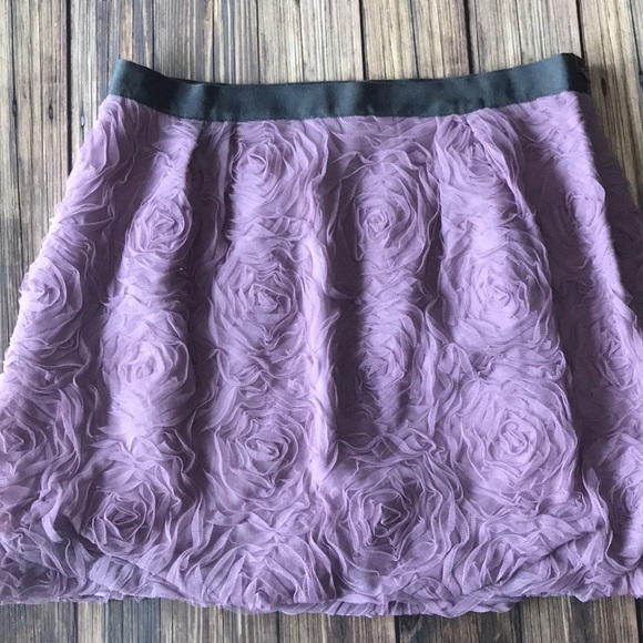 J. Crew Dresses & Skirts - J. Crew Plum Purple Skirt with Tulle Roses Lined 6